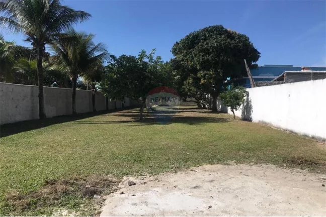 Imagem Terreno 480m, plano e murado, Jardim Atlântico Leste, Itaipuaçu.