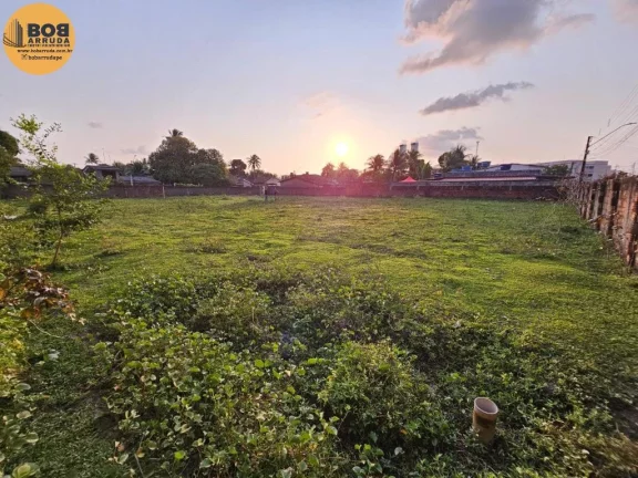 Imagem Terreno Padrão