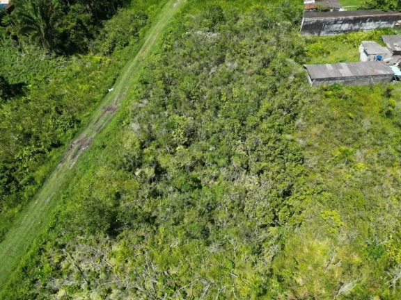 Imagem Terreno para Venda em Itanhaém, Jardim das Palmeiras