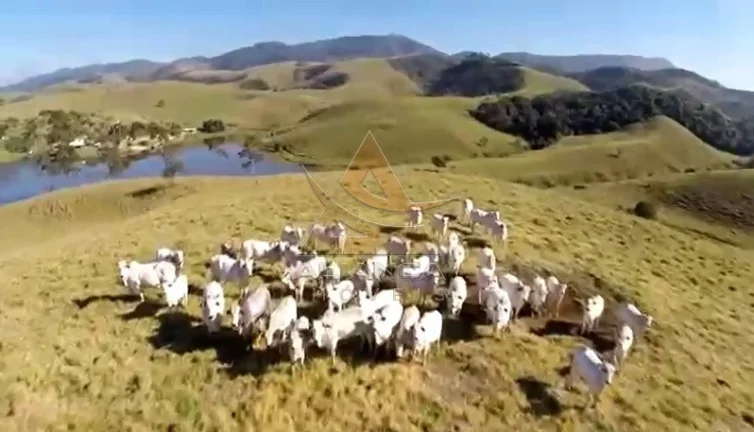 Imagem Fazenda - Caçapava - Caçapava