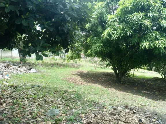 Imagem Terreno de 2.800m² à venda, localizado em Chã de Onça, Paudalho - Pernambuco.