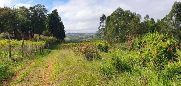 Imagem Sítio à venda em Piedade-SP, bairro Piedade, com 0,01 m² de área: oportunidade imperdível!