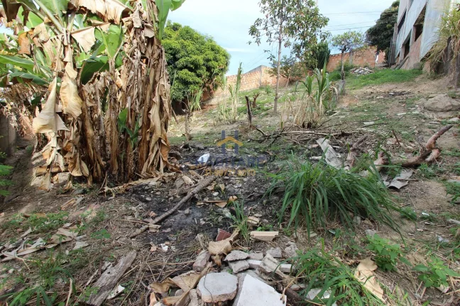 Imagem Lote no bairro Palmares 1ª seção - Ibirité/MG.