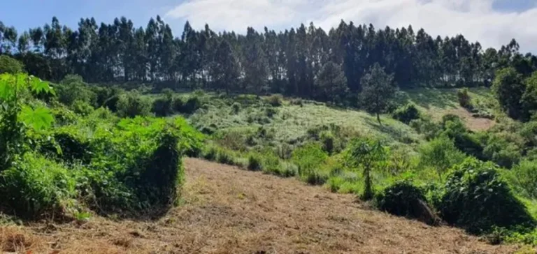 Imagem Sítio à venda em Piedade-SP, bairro Piedade, com 0,01 m² de área: oportunidade imperdível!