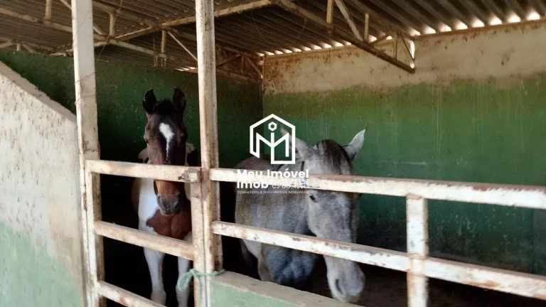 Imagem Chácaras com Curral Corrégo Baias - Luziânia