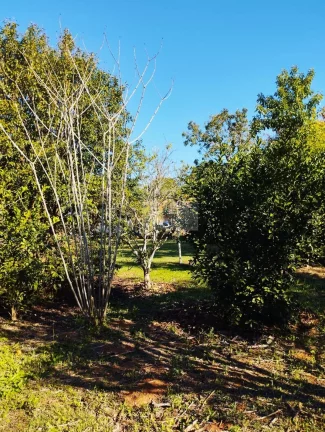 Imagem CHÁCARA JARDIM CANANÉIA PILAR DO SUL-SP