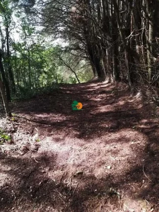 Imagem Terreno para Venda em São Roque, Mombaça