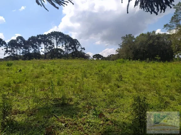 Imagem Terreno para Venda em São José dos Pinhais, Contenda, 1 dormitório