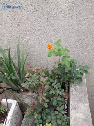Imagem SOBRADO À VENDA NO BAIRRO TABOÃO - DIADEMA - SP