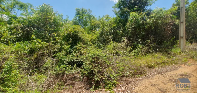 Imagem TERRENO RURAL em FORTUNA DE MINAS - MG, VITORINA PARK II