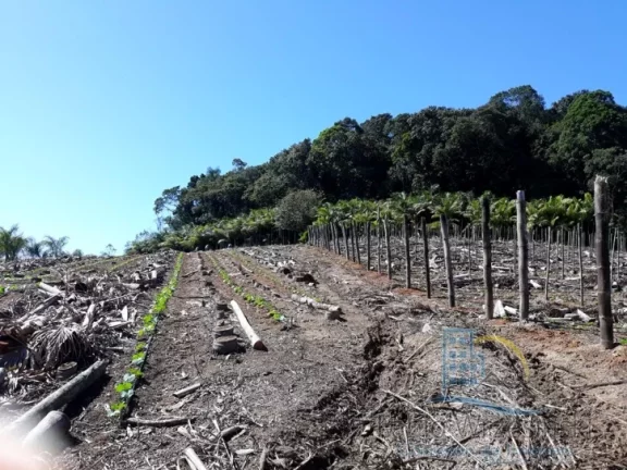 Imagem Terreno - Em rua, para Venda em São Francisco do Sul/SC