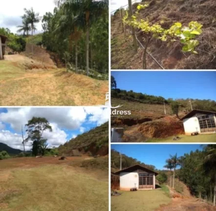 Imagem Área à Venda com 2,80 Hectares com Casa e Parreiral/ES