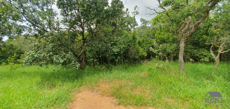 Imagem AREA RURAL em ESMERALDAS - MG, ANDIROBA
