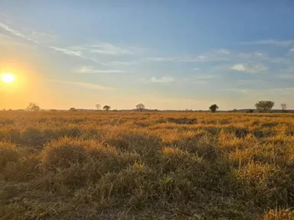 Imagem Oportunidade Única: Fazenda Espetacular à Venda! Mundo Novo GO.
