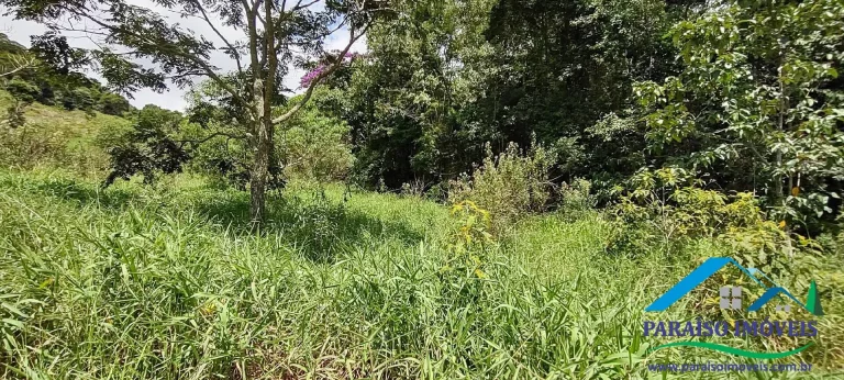 Imagem Paraíso Ecológico: Terreno com Nascente Própria e Vista para as Montanhas.