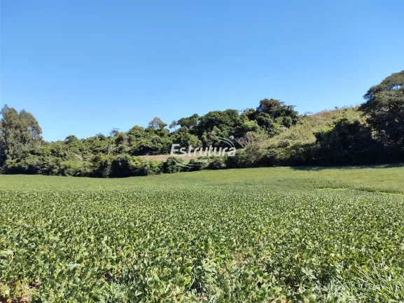 Área rural com 60 hectares