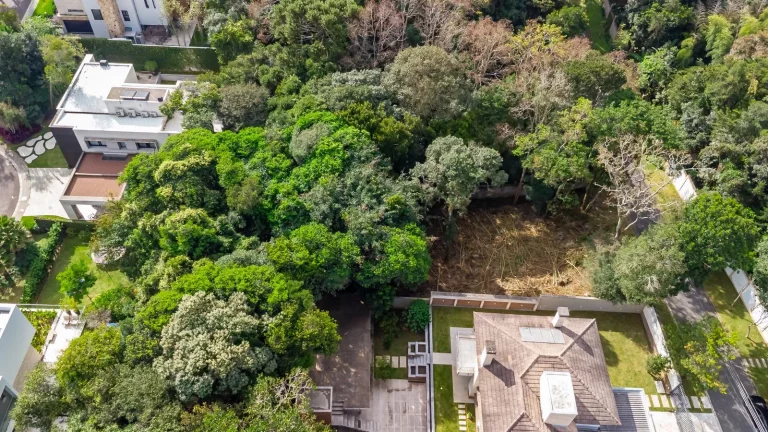 Imagem Terreno Campo Comprido