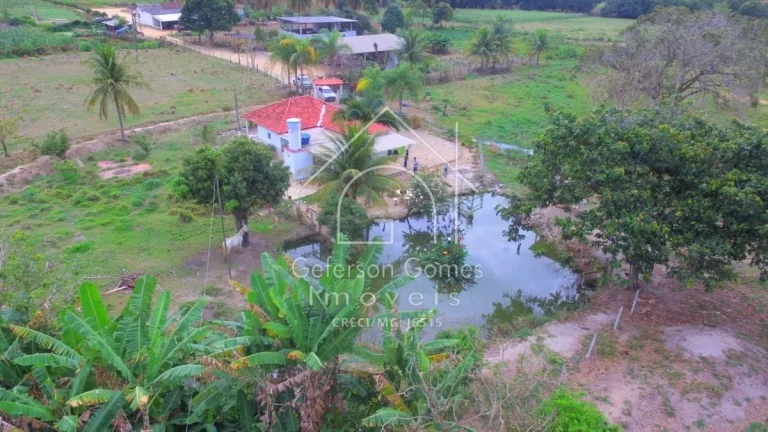 Imagem Chácara à venda Com 03 quartos - Córrego São Francisco - Mantena - MG