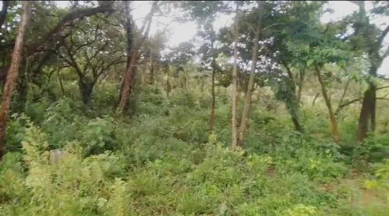 Imagem CHÁCARA DE 2.175 M² NO PARQUE DA ALVORADA, EM JUATUBA!