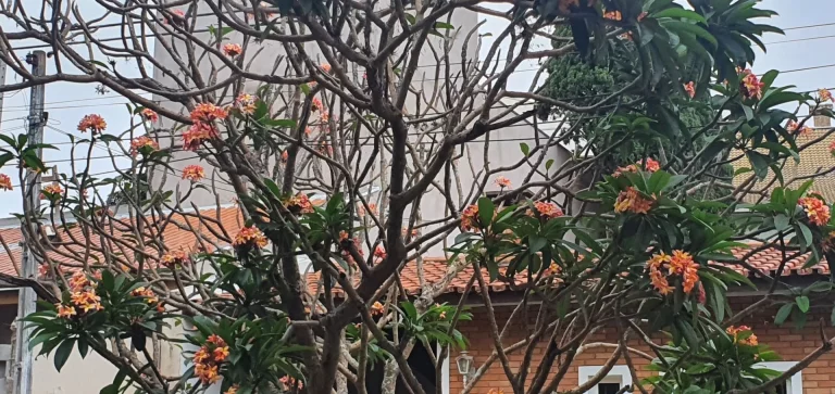 Imagem CASA TÉRREA - CONDOMÍNIO NO RESIDENCIAL JARDIM CHAPADÃO - CAMPINAS - SP