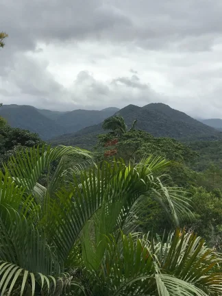 Imagem CHÁCARA à venda com 411400m² por R$ 2.400.000,00 no bairro Porto de cima - MORRETES / PR
