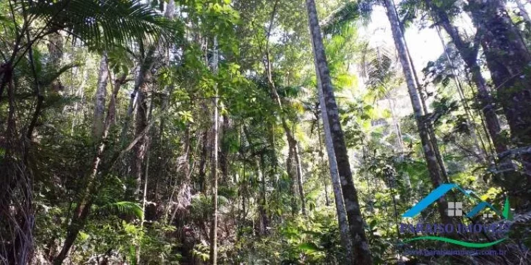 Imagem Espetacular Área Rural em Paraisópolis - Minas | 155 hectares