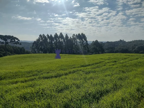 Imagem ÁREA PARA FORMAR CHÁCARA EM BALSA NOVA