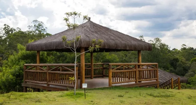 Imagem Terreno à venda - Área terreno 150 m2 - Condomínio Reserva da Mata - Parque Corrupira - Jundiaí - Sã