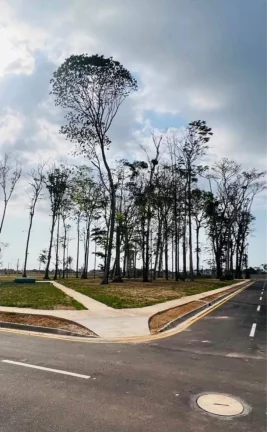 Imagem Bougainville Belém - Vendo Repasse de Lote Residencial de Esquina, Nascente