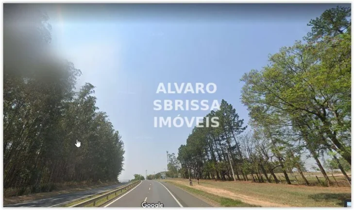 Imagem Área rural com 43.000 m² e várias árvores nativas e especiais em Itu SP