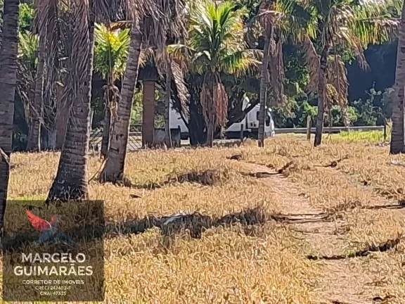 Imagem Propriedade Rural em Guaimbê, SP - 12 Alqueires Sitio Valenciano