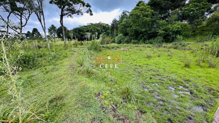 Imagem Chácara - Sítio com 1 Dormitorio(s) localizado(a) no bairro Serra Grande em Três Coroas / RIO GRANDE DO SUL Ref.:1602