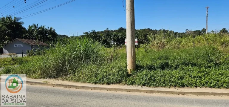 Imagem Lote/Terreno - Testo Salto - Blumenau