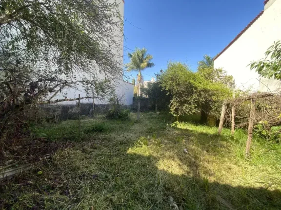 Imagem Oportunidade para Investidores – Terreno com Excelente Potencial no Bairro Monsenhor Mário Quintão!