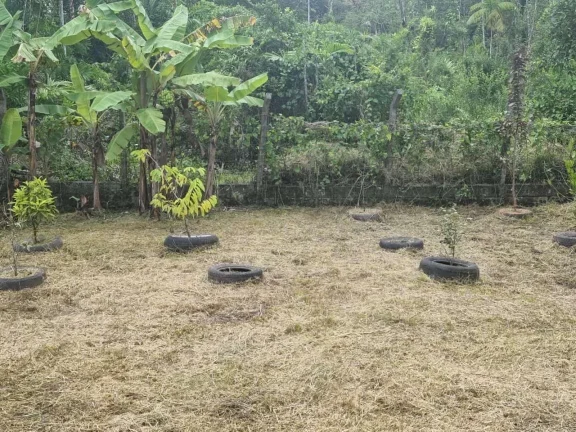 Imagem Chácara para Venda em Itanhaém, Aguapeú, 4 dormitórios, 2 banheiros