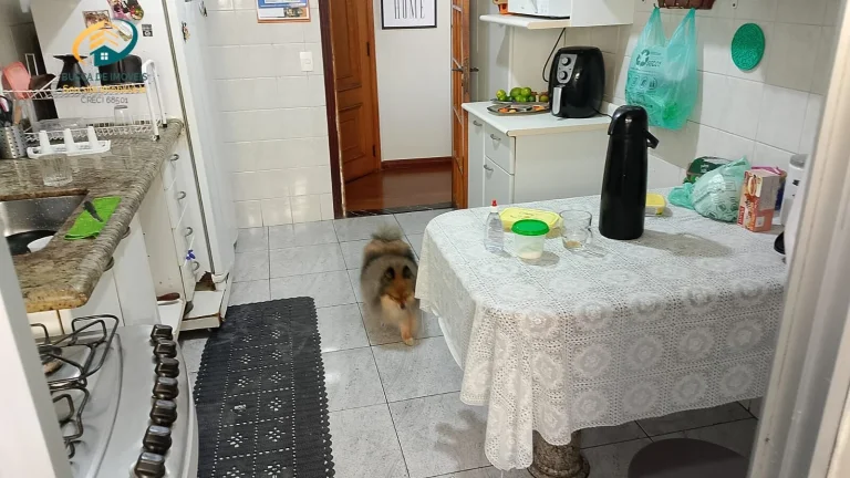Imagem Apartamento Cobertura em Vila Monte Alegre, São Paulo/SP