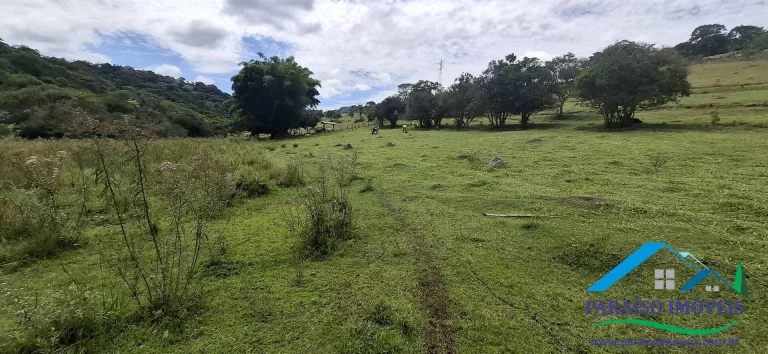 Imagem Refúgio Natural em Paraisópolis: Terreno Exclusivo com 5 Fontes de Água!
