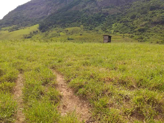 Imagem Fazenda à Venda, 1.930.000 m² em Centro - Trajano De Morais