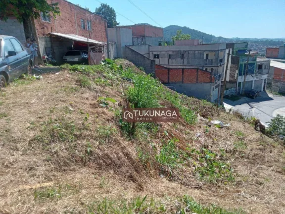 Imagem Terreno à venda, 800 m² por R$ 320.000,00 - Parque Primavera - Guarulhos/SP