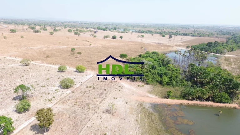 Imagem Fazenda de OPORTUNIDADE Dupla Aptidão em Peixe do Tocantins