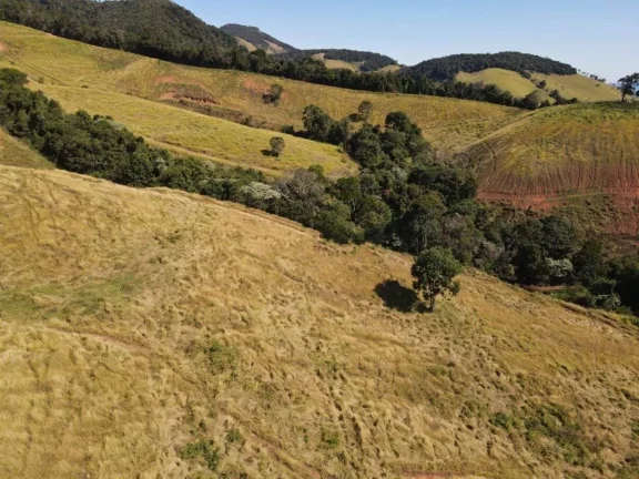 Imagem Fazenda à Venda, 4.463.400 m² em Zona Rural - Maria Da Fé