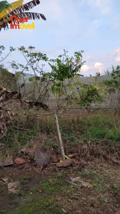 Imagem Terreno à venda em Ribeirão Preto-SP, Jardim Itaú Mirim: 256m² de área. Aproveite essa oportunidade! Quer Imóvel Negócios Imobiliários.