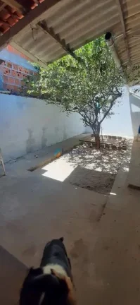 Imagem Casa com quintal -3 quartos - 1 suíte - 143m² - Bessa, em João Pessoa-PB