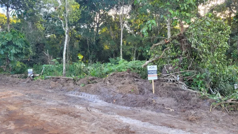 Imagem 04 Lotes juntos - 48,00x24,00 ( FACE LESTE)