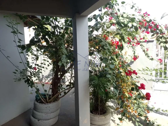 Imagem Casa Padrão