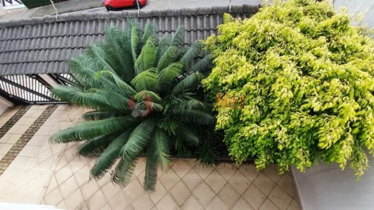 Imagem Maravilhoso sobrado para Venda no bairro Parque dos Passaros