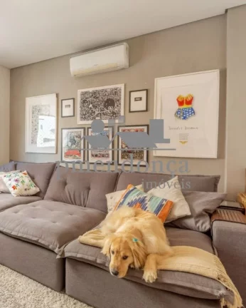 Imagem Excelente apartamento em Higienópolis com 163m², 03 quartos e 1 vaga.
