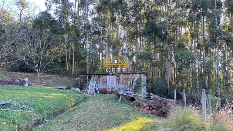 Imagem Chácara - Sítio com 4 Dormitorio(s) localizado(a) no bairro Linha Imperial em Nova Petrópolis / RIO GRANDE DO SUL Ref.:1506