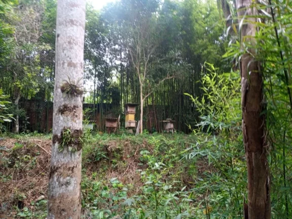 Imagem Área à venda, 1511450 m² por R$ 1.600.000,00 - Estância São Luís - Suzano/SP