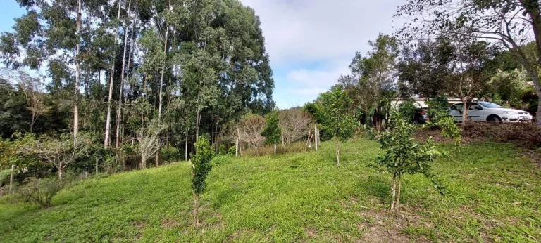 Imagem Chácara à venda em Campo Largo/PR
